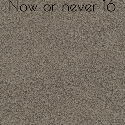 Now Or Never