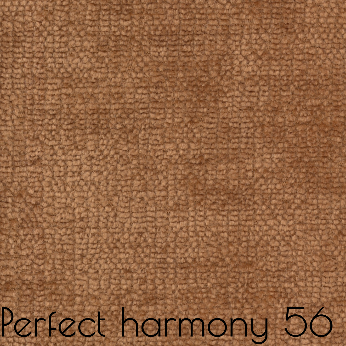 Perfect Harmony