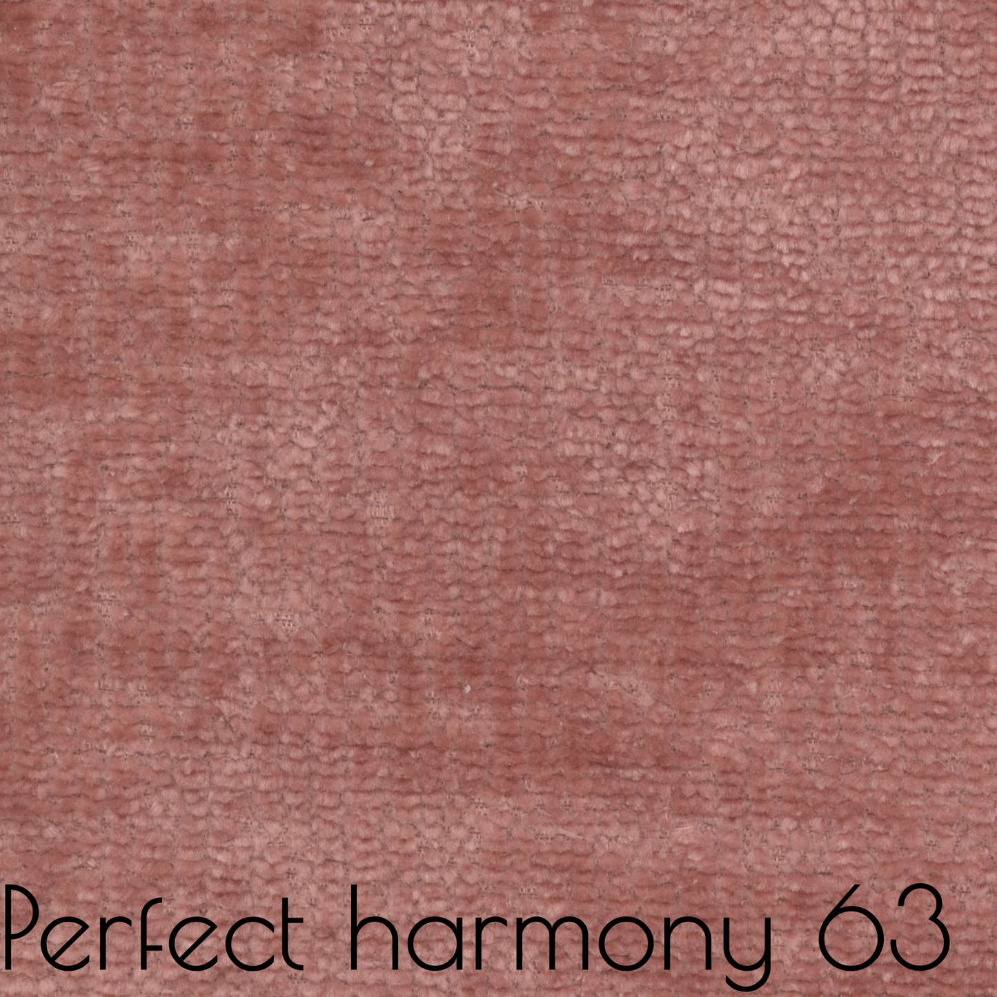 Perfect Harmony