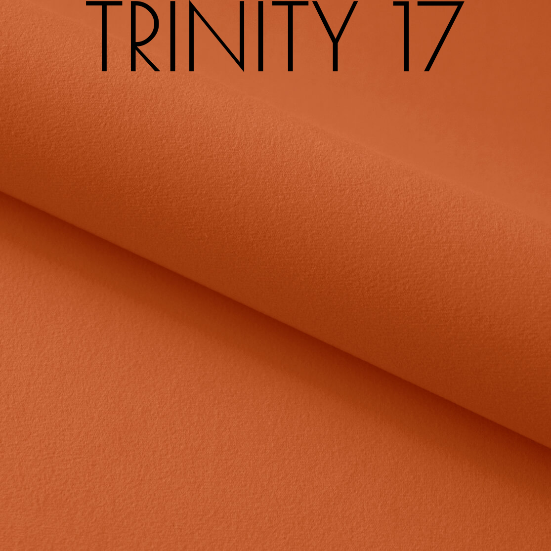 Trinity