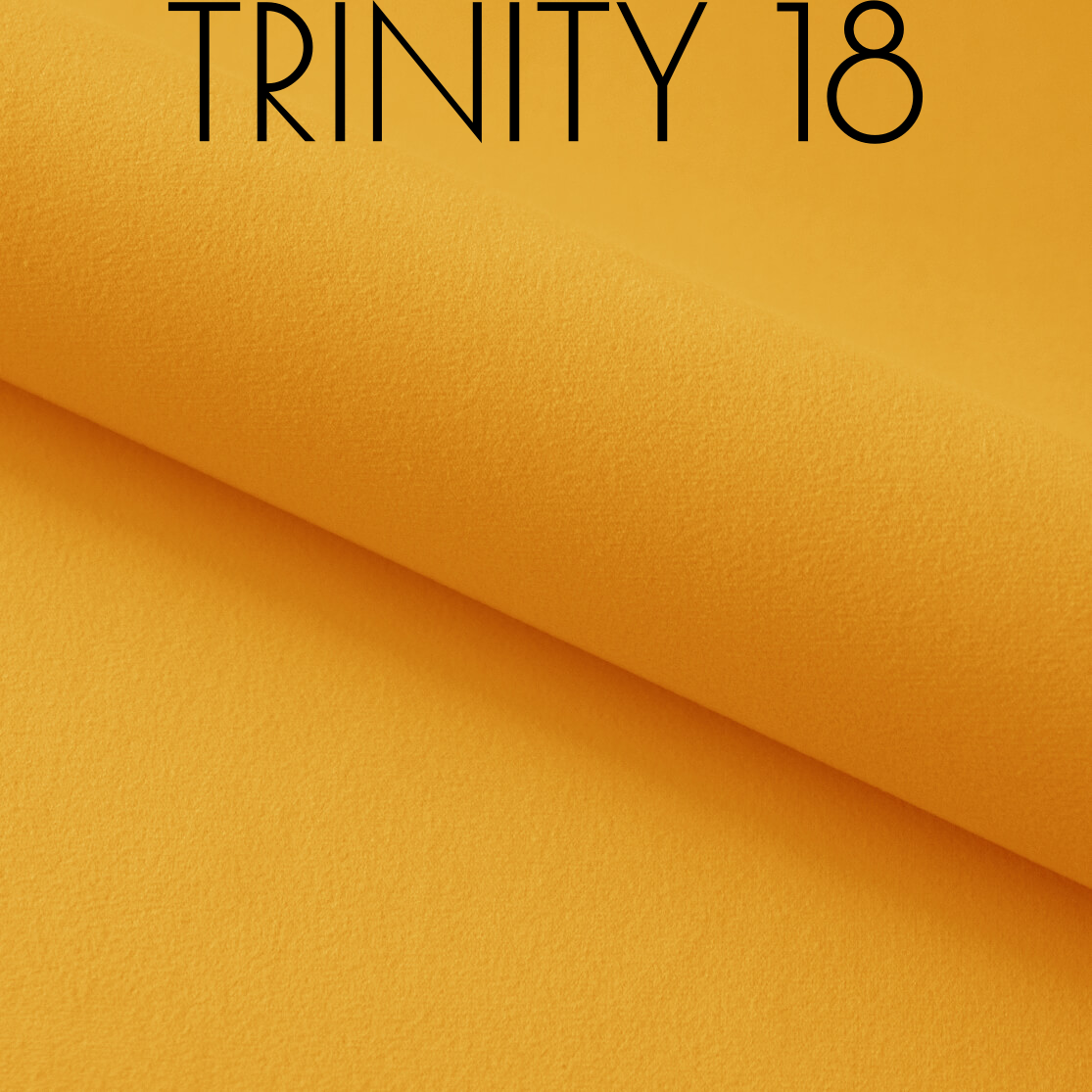Trinity