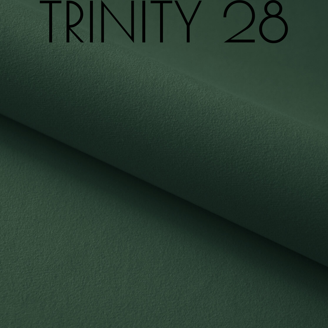 Trinity