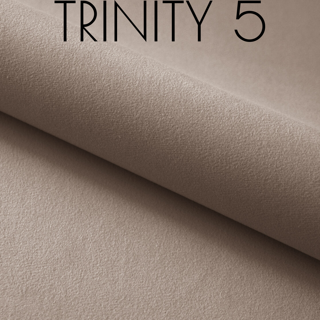 Trinity