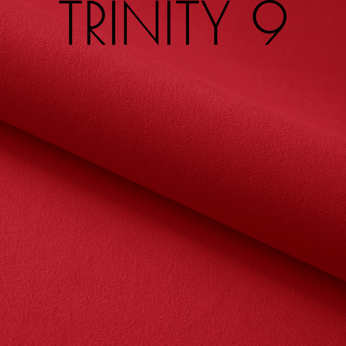 Trinity